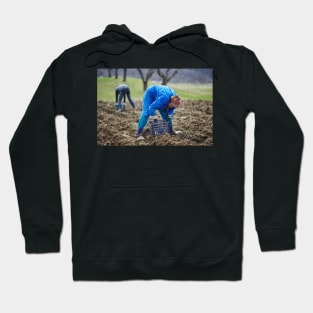 Family of peasants sowing potatoes Hoodie